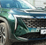 Для Geely ATLAS объявлена отзывная кампания - Chehov-Vid.Ru