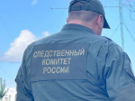 В Николиных Садах задержали подозреваемого в покушении на убийство 7‑летней девочки